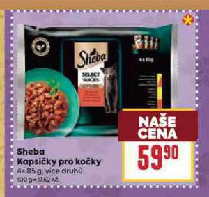 SHEBA KAPSIKY PRO KOKY