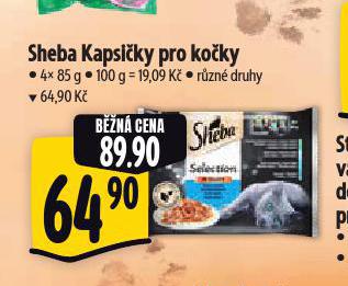 SHEBA KAPSIKY PRO KOKY