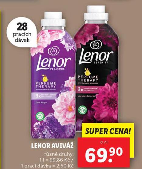 LENOR AVIV