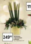 SANSEVERIA V KERAMICKM KVTINI