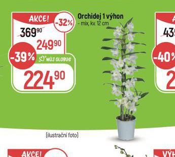 ORCHIDEJ 1 VHON