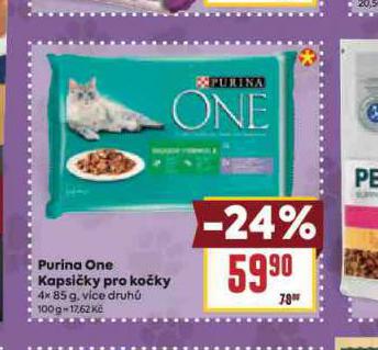 PURINA ONE KAPSIKY PRO KOKY