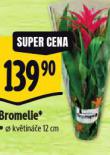 BROMELIE