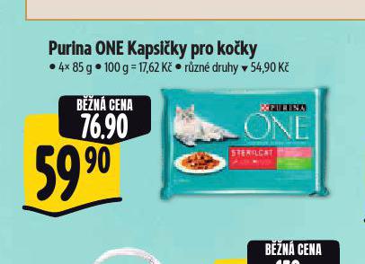 PURINA ONE KAPSIKY PRO KOKY