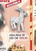 JELEN AKRYL 30 LED