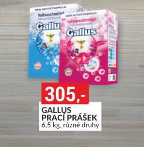 GALLUS PRAC PREK