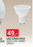 LED ROVKA