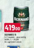 PIVO BERNARD 11