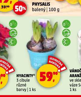 HYACINTY