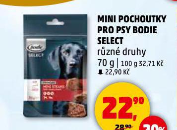 BODIE POCHOUTKY PRO PSY