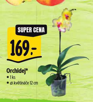 ORCHIDEJ