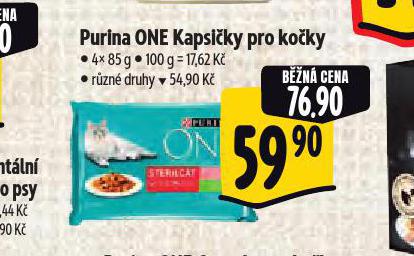 PURINA ONE KAPSIKY PRO KOKY