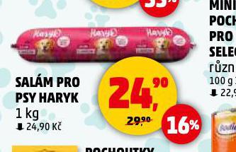 HARYK SALM PRO PSY