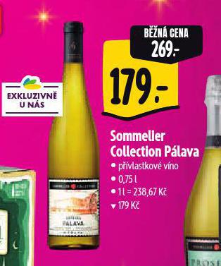 SOMMELIER COLLECTION PLAVA