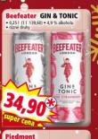 BEEFEATER GIN & TONIC