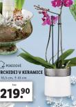 ORCHIDEJ V KERAMICE