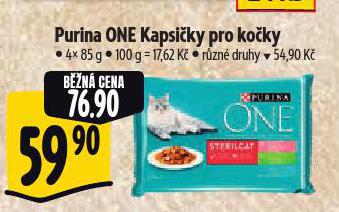 PURINA ONE KAPSIKY PRO KOKY