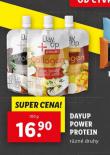 DAYUP POWER PROTEIN