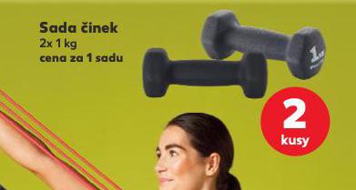 SADA INEK