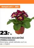 PRVOSENKA BEZLODYN