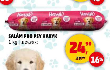 HARYK SALM PRO PSY