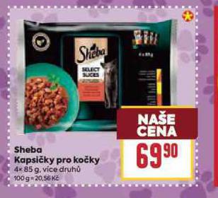 SHEBA KAPSIKY PRO KOKY