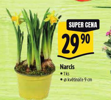 NARCIS