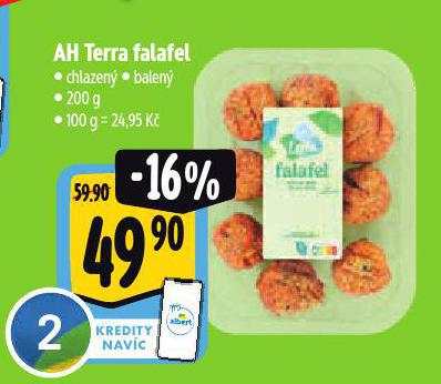 AH TERRA FALAFEL