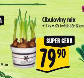 CIBULOVINY MIX