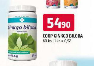 GINKGO BILOBA