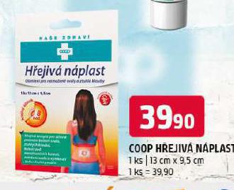 HEJIV NPLAST