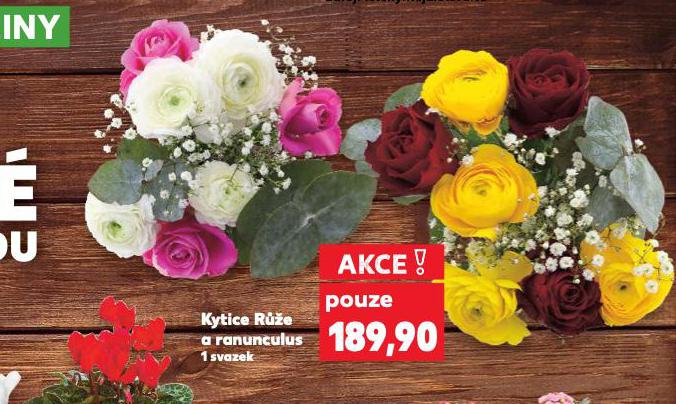 KYTICE RَE A RANUNCULUS