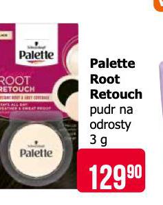 PALETTE ROOT RETOUCH PUDR NA ODROSTY