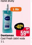 DENTAMAX STN VODA