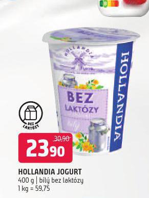 HOLLANDIA JOGURT BL BEZ LAKTZY