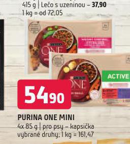 PURINA OEN MINI KAPSIKA PRO PSY