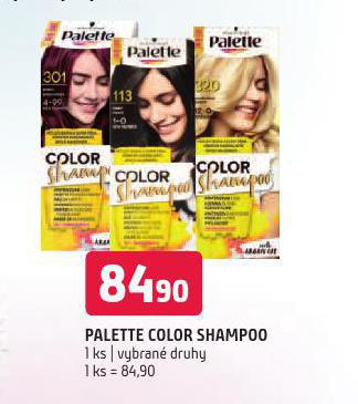 PALETTE COLOR SHAMPOO