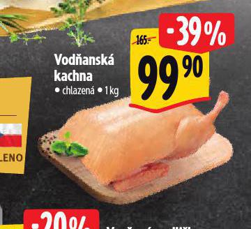 VODANSK KACHNA