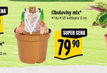 CIBULOVINY MIX