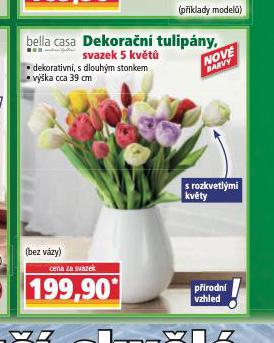 DEKORAN TULIPNY