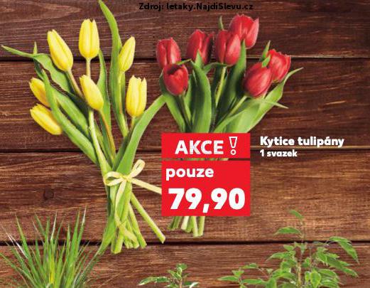 KYTICE TULIPNY