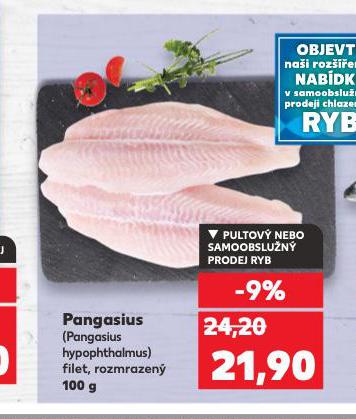 PANGASIUS