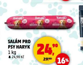 HARYK SALM PRO PSY