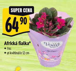 AFRICK FIALKA