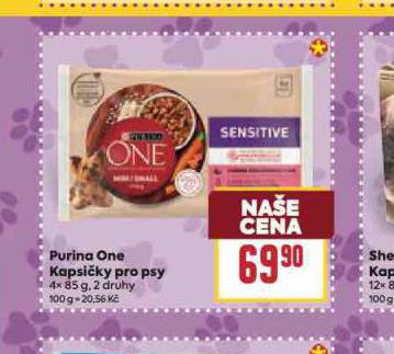 PURINA ONE KAPSIKY PRO KOKY