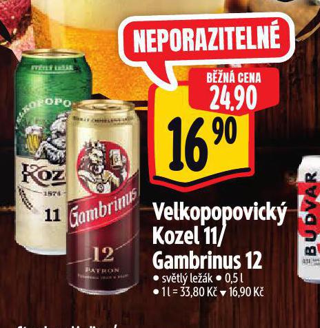 PIVO GAMBRINUS