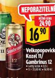 PIVO GAMBRINUS