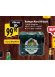 PIVO RADEGAST