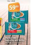 PURINA ONE KAPSIKY PRO KOKY