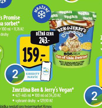 BEN & JERRYS ZMRZLINA VEGAN